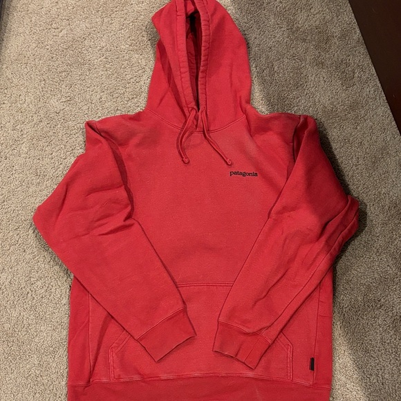 Patagonia Other - Patagonia Hoodie